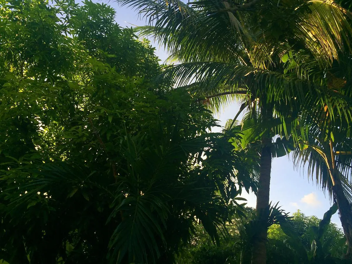 Yaad Hostel Montego Bay Jamaika