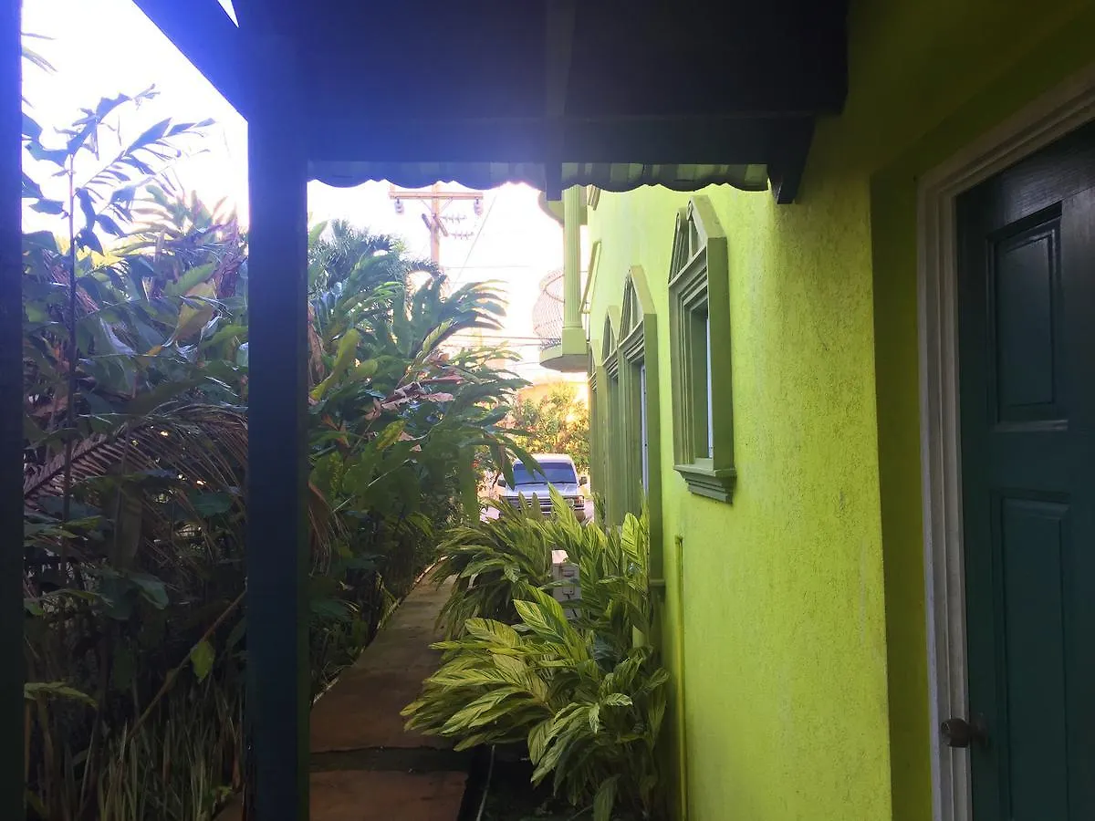مونتيغو باي Yaad Hostel