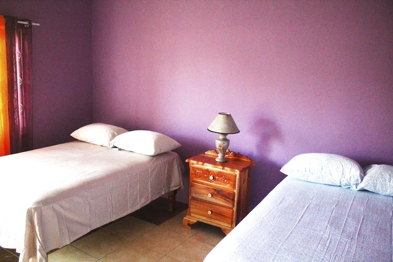 مونتيغو باي Yaad Hostel جامايكا
