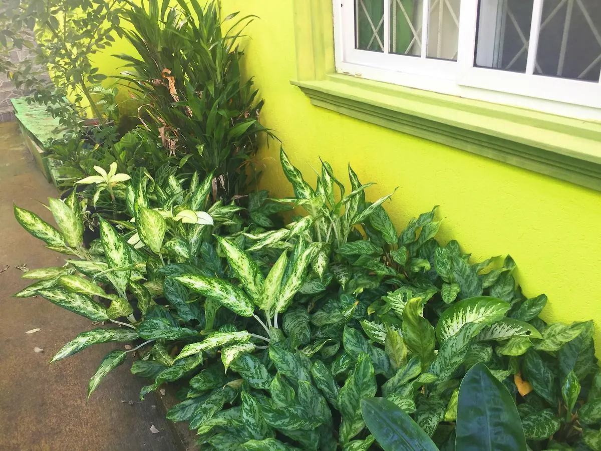 Yaad Hostel Montego Bay